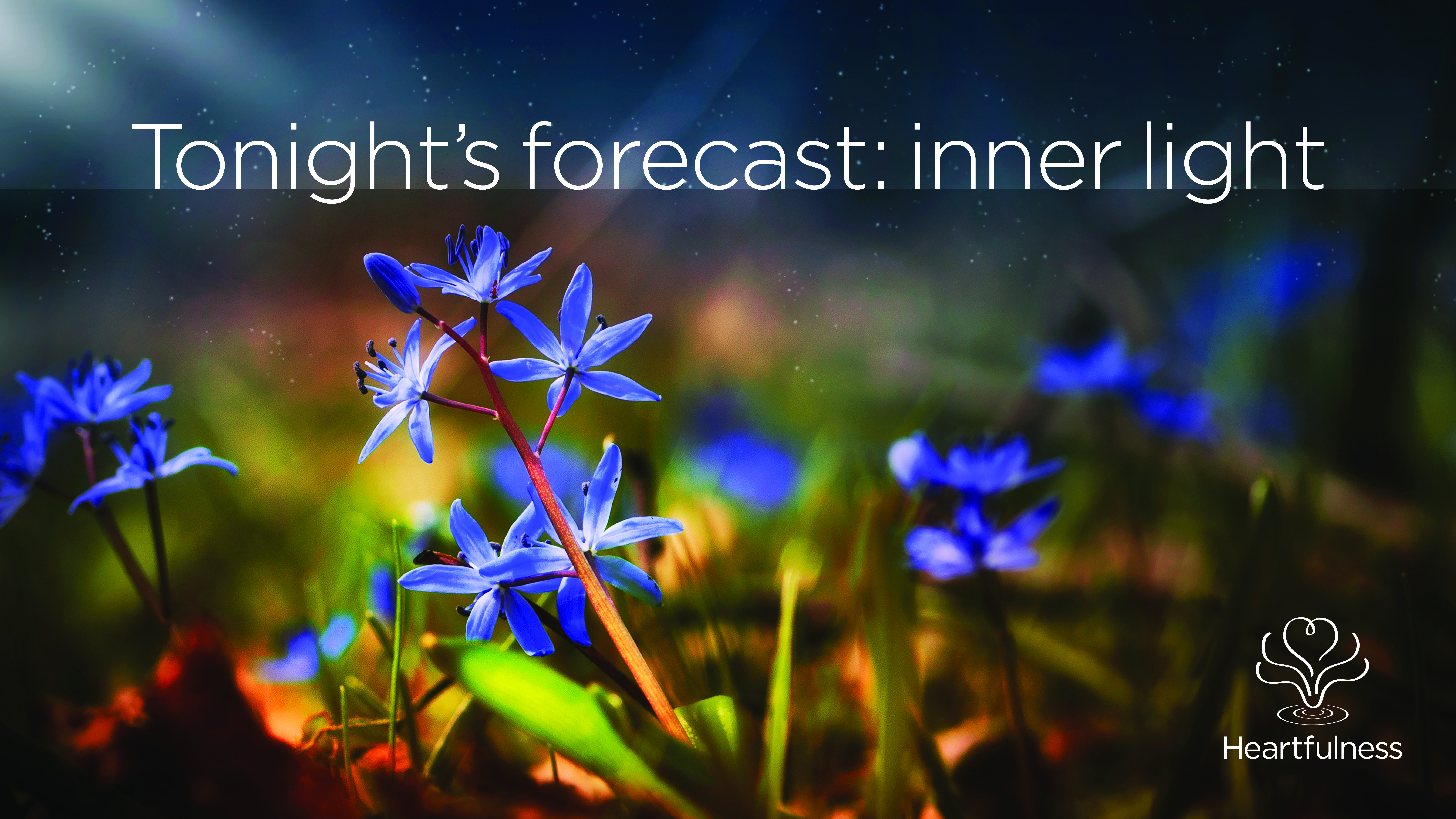 Heartfulness Tonight's forecast: inner light
