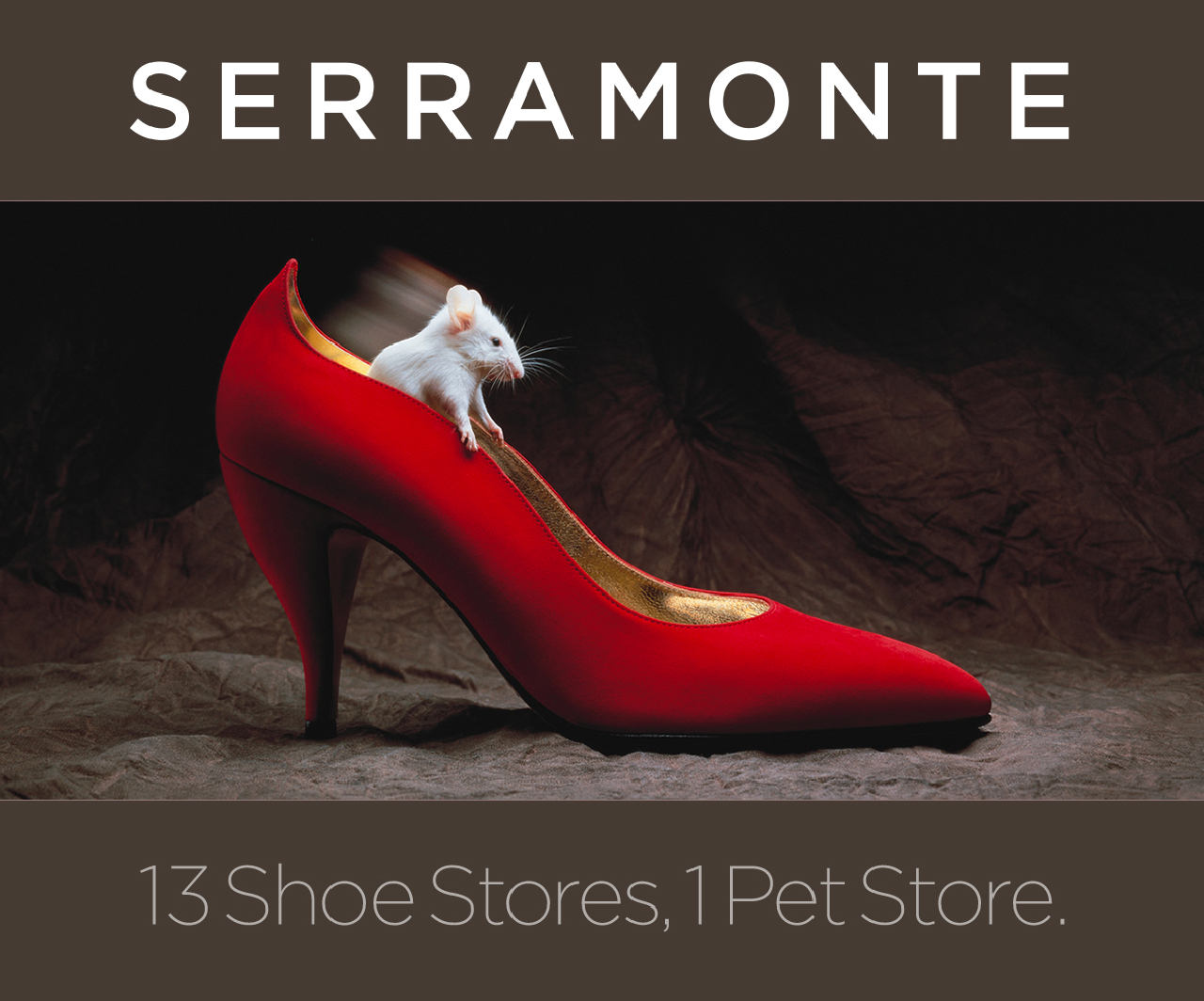 13 Shoe Stores, 1 Pet Store